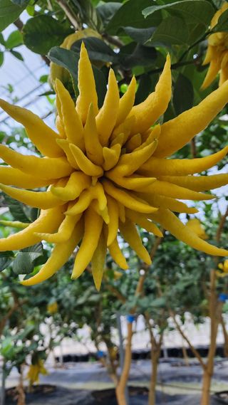 정미리님의 자유주제 · 자유게시판 작성글 사진