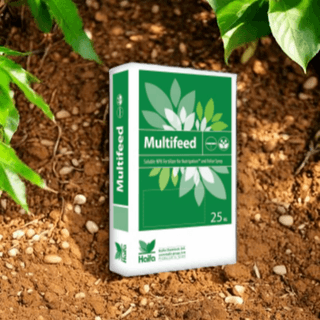 농업마켓365님의 작성글 사진