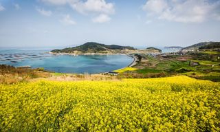 국중선님의 자유주제 · 자유게시판 작성글 사진