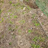 팜모닝 자유주제·자유게시판 게시글 이미지