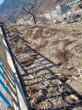 김용대님의 자유주제 · 자유게시판 작성글 사진