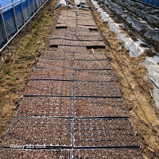 박용열조물주님 님의 자유주제 · 자유게시판 작성글 사진