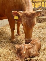 팜모닝 2025 풍년들게 하소서!·참여글 게시글 이미지