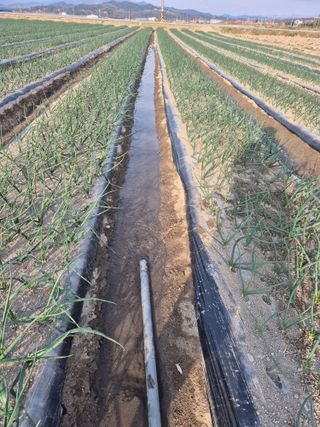 송광만님의 자유주제 · 자유게시판 작성글 사진