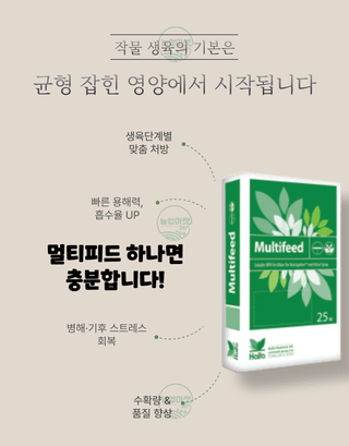 농업마켓365님의 작성글 사진