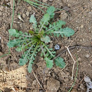 박성찬님의 자유주제 · 자유게시판 작성글 사진