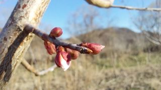 알 수 없음님의 자유주제 · 자유게시판 작성글 사진