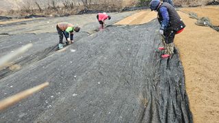 조병대님의 자유주제 · 자유게시판 작성글 사진