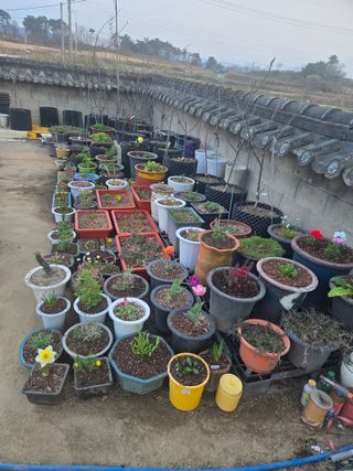 자연인님의 자유주제 · 자유게시판 작성글 사진