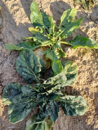 유영옥님의 자유주제 · 자유게시판 작성글 사진