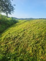 팜모닝 · 게시글 이미지