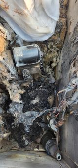 팜모닝 자유주제·자유게시판 게시글 이미지