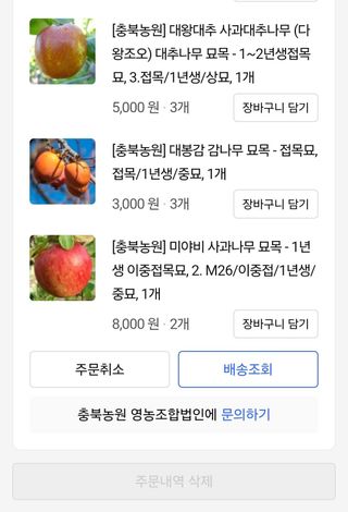 추녹이님의 묘목 추천해요 · 참여글 작성글 사진