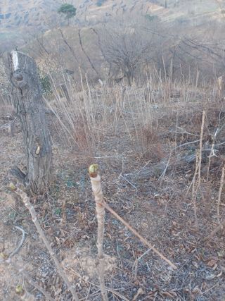 무료지식나눔 팜닥터님의 자유주제 · 자유게시판 작성글 사진