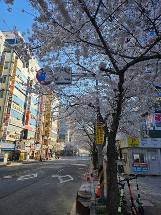 지식농부님의 자유주제 · 자유게시판 작성글 사진