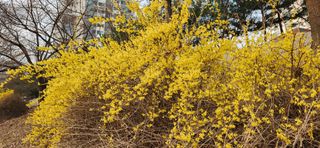 베리첼님의 자유주제 · 자유게시판 작성글 사진