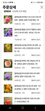 팜모닝 묘목 추천해요·참여글 게시글 이미지