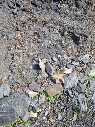 김용대님의 자유주제 · 자유게시판 작성글 사진