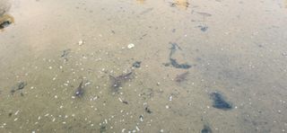 베리첼님의 자유주제 · 자유게시판 작성글 사진