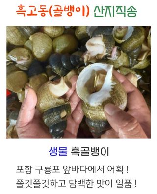 농수사님의 작성글 사진