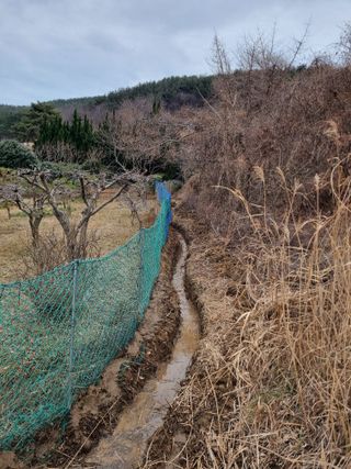 양영모님의 묘목 추천해요 · 참여글 작성글 사진