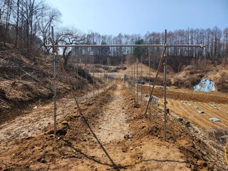 전태을님의 묘목 추천해요 · 참여글 작성글 사진