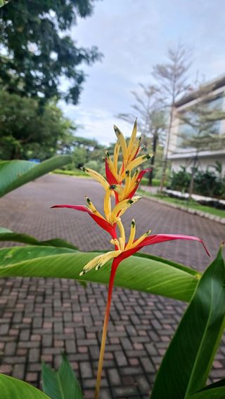 산골촌부님의 자유주제 · 자유게시판 작성글 사진