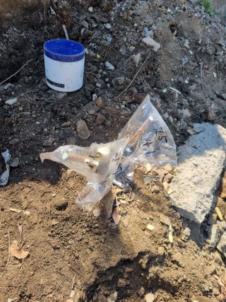 김용대님의 자유주제 · 자유게시판 작성글 사진