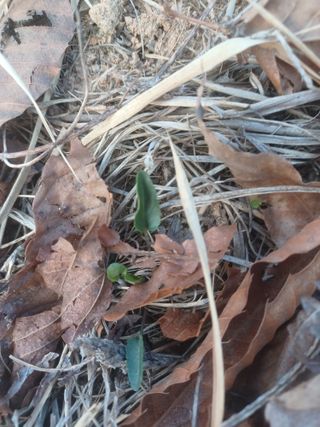 무료지식나눔 팜닥터님의 자유주제 · 자유게시판 작성글 사진