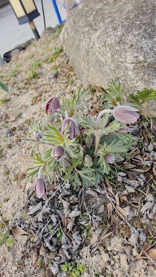 이연옥님의 자유주제 · 사진전 작성글 사진
