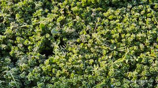 달맛햇복숭아농원님의 자유주제 · 자유게시판 작성글 사진