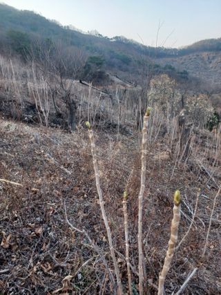 무료지식나눔 팜닥터님의 자유주제 · 자유게시판 작성글 사진