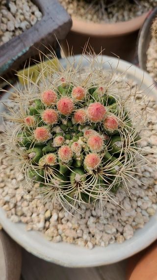 이연옥님의 자유주제 · 사진전 작성글 사진