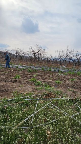 배성은365님의 자유주제 · 자유게시판 작성글 사진