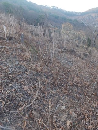 무료지식나눔 팜닥터님의 자유주제 · 자유게시판 작성글 사진