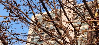 베리첼님의 자유주제 · 자유게시판 작성글 사진