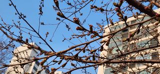 베리첼님의 자유주제 · 자유게시판 작성글 사진