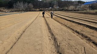 조병대님의 자유주제 · 자유게시판 작성글 사진