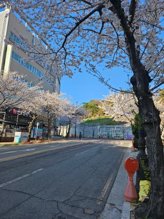 지식농부님의 자유주제 · 자유게시판 작성글 사진