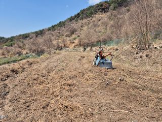 시골농부뜨돌이님의 묘목 추천해요 · 참여글 작성글 사진