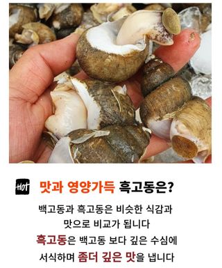 농수사님의 작성글 사진