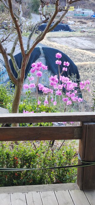 최군환님의 자유주제 · 자유게시판 작성글 사진