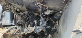 베리첼님의 자유주제 · 자유게시판 작성글 사진