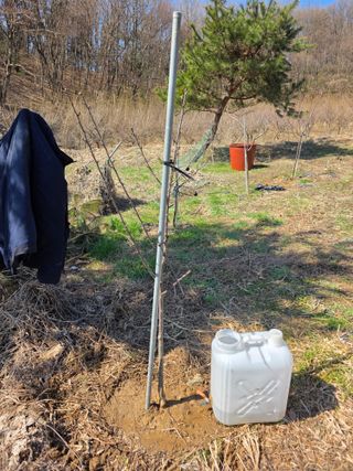 이원복님의 묘목 추천해요 · 참여글 작성글 사진