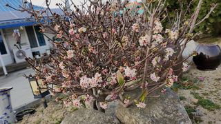 이연옥님의 자유주제 · 사진전 작성글 사진