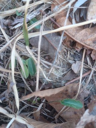 무료지식나눔 팜닥터님의 자유주제 · 자유게시판 작성글 사진