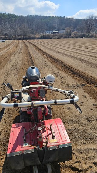 조병대님의 자유주제 · 자유게시판 작성글 사진