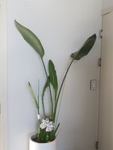 팜모닝 자유주제·자유게시판 게시글 이미지