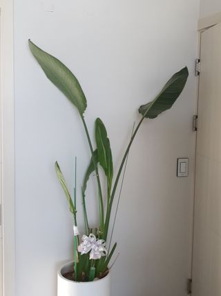 권기은님의 자유주제 · 자유게시판 작성글 사진