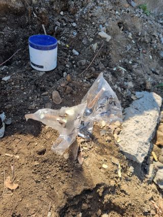 김용대님의 자유주제 · 자유게시판 작성글 사진